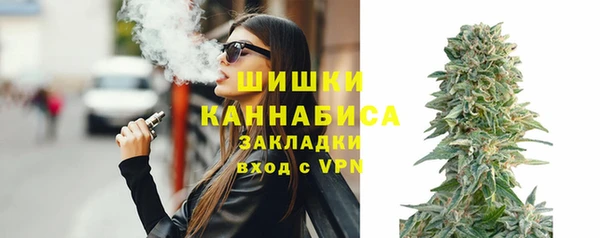 мдпв Майский