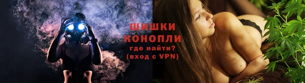 мдпв Майский
