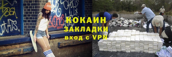 мдпв Майский
