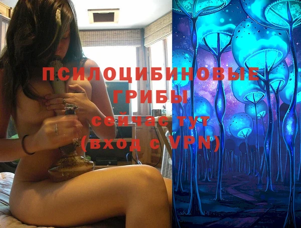 PSILOCYBIN Магадан