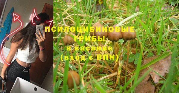 мдпв Майский