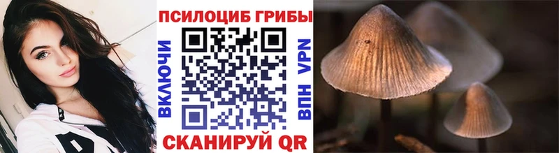 Галлюциногенные грибы ЛСД  Рошаль 